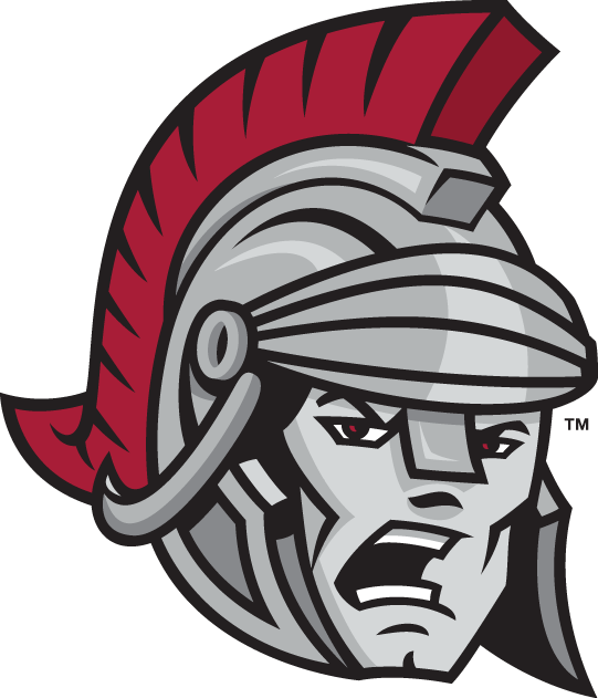 Troy Trojans 2004-Pres Alternate Logo v3 diy iron on heat transfer